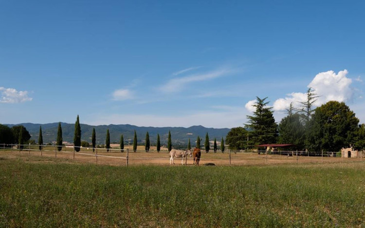 Camping Mugello Verde