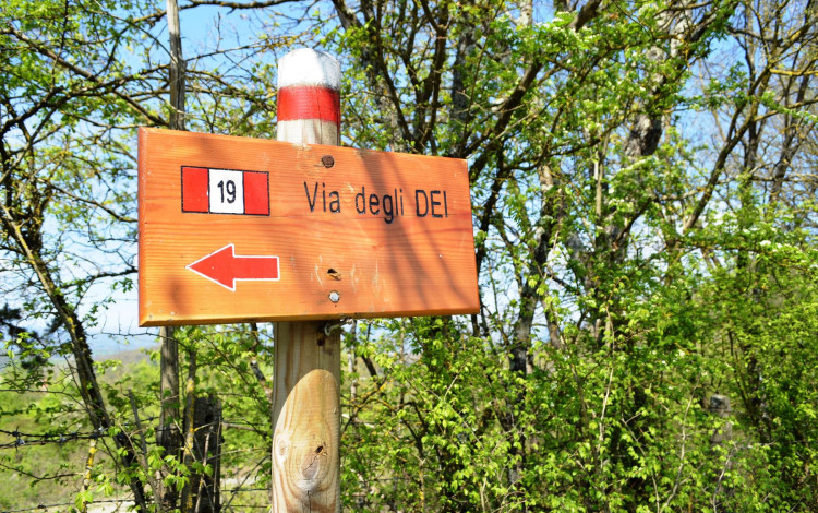 Camping Mugello Verde