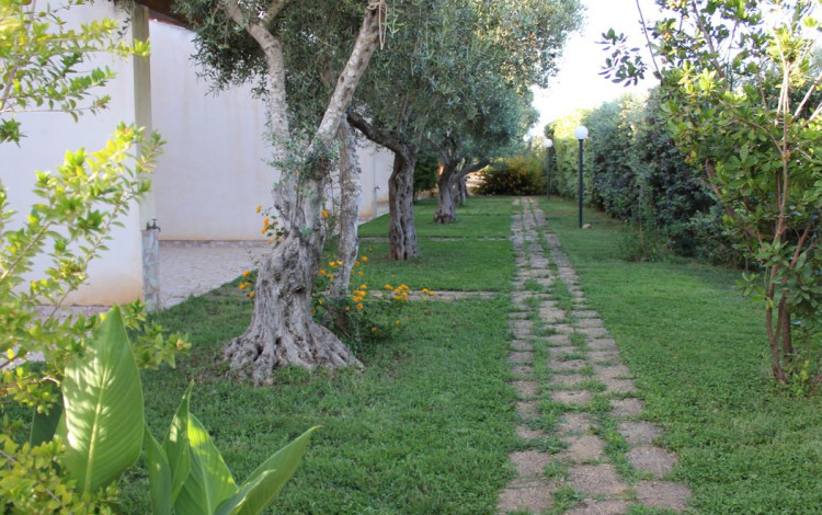 Camping Lilybeo Village