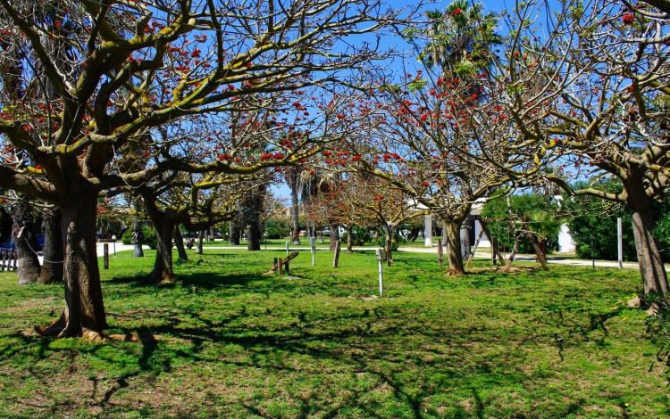 Camping Biscione
