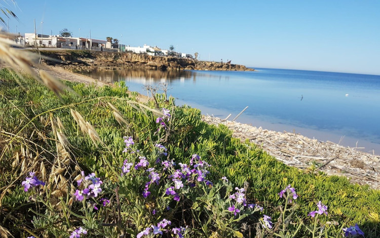 Camping Biscione