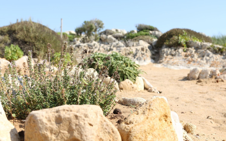 Camping Rocca dei Tramonti