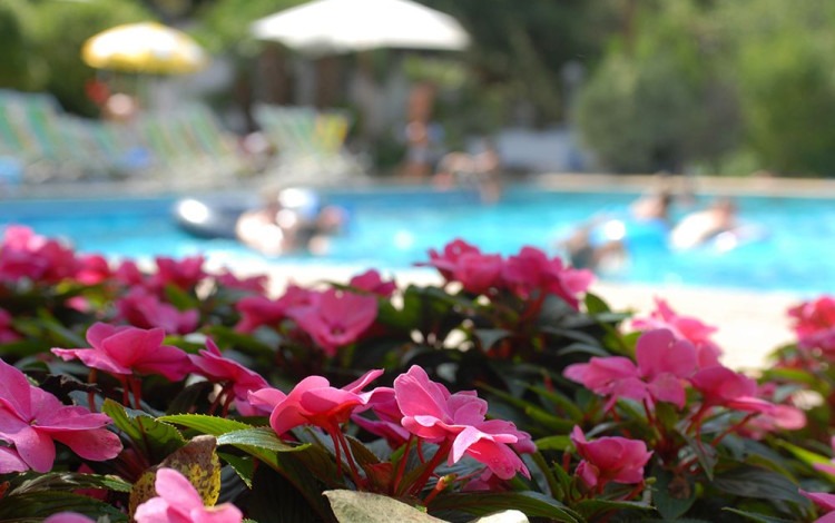 Camping Delle Rose