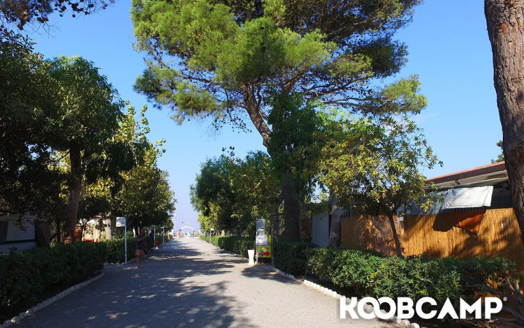 Camping Il Gabbiano