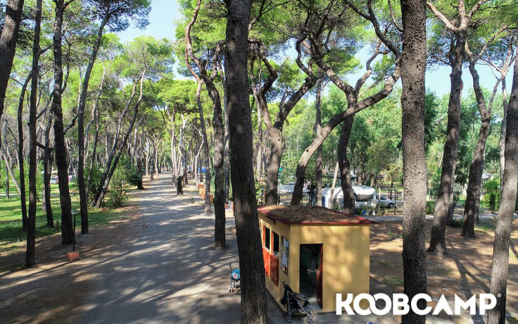 Camping Village Pineta di Sibari