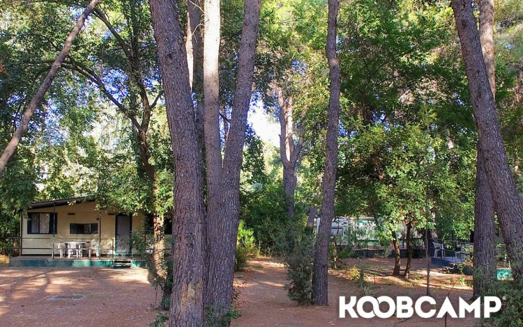 Camping Village Pineta di Sibari