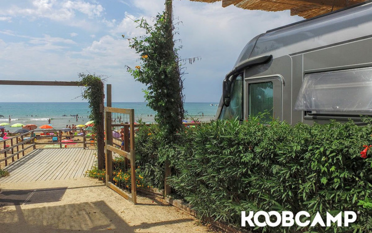Camping Scarabeo
