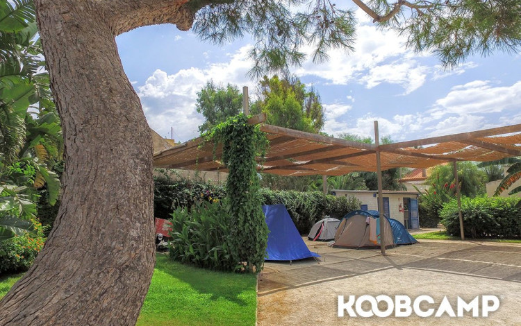 Camping Scarabeo
