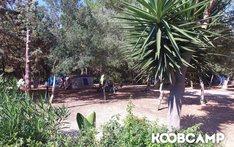 Village Camping Park Shadak