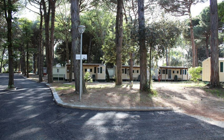 International Camping Mare e Pineta