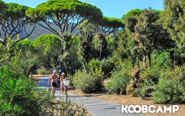 Camping Village Baia Azzurra