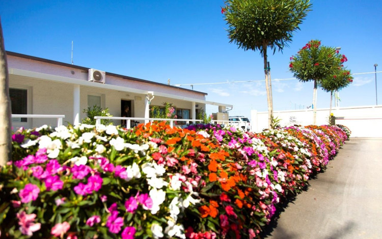 Camping La Medusa