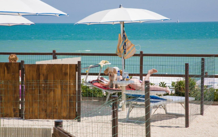 Camping La Medusa