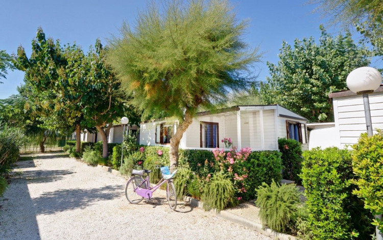 Camping La Medusa