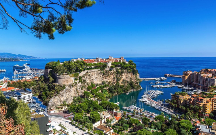 Camping Delle Rose