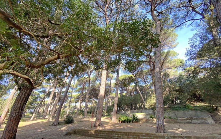 Camping Belmare