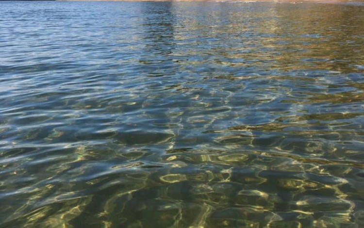 Camping Pizzo Greco - Club Naturista