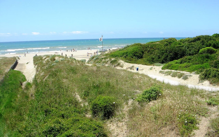Camping Internazionale di Castelfusano