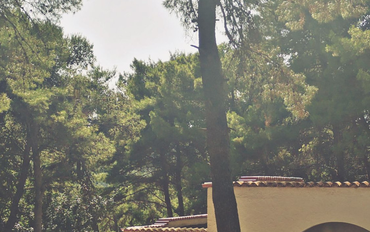 Villaggio Turistico Calenella