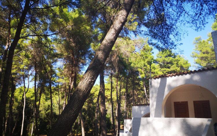 Villaggio Turistico Calenella