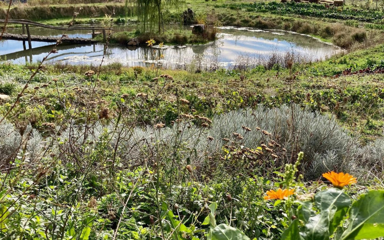 Agriturismo La Fattoria dell’Autosufficienza