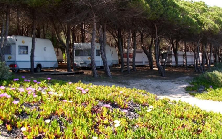 Camping Iscrixedda