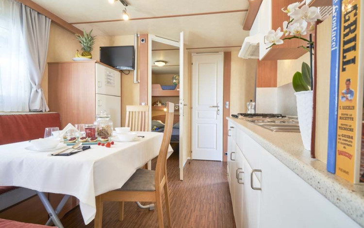 Camping Oasi