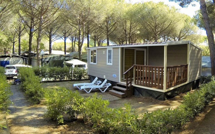 Camping Free Beach