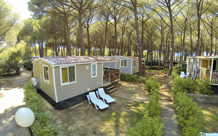 Camping Free Beach
