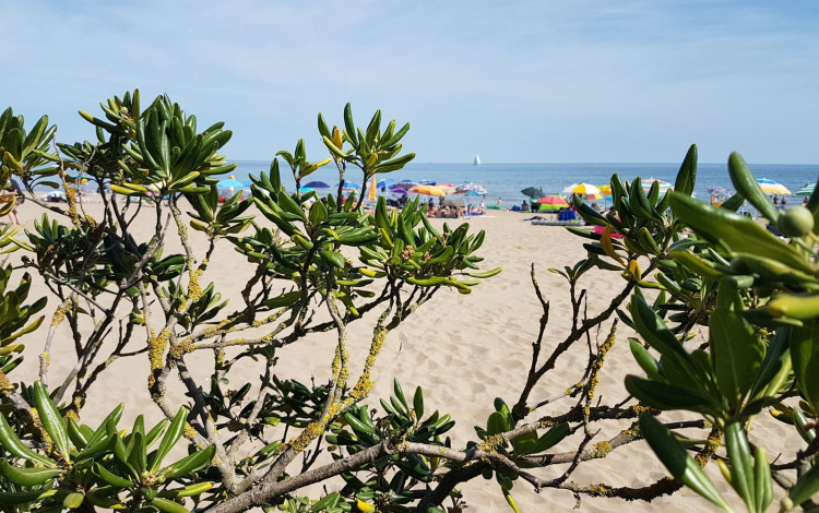 Italy Camping Village