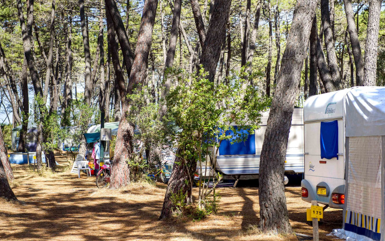 Camping Baia Verde