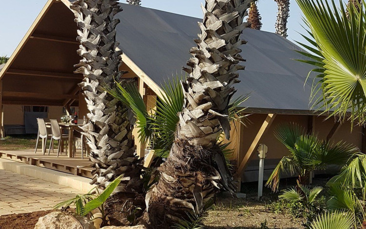 Camping Biscione