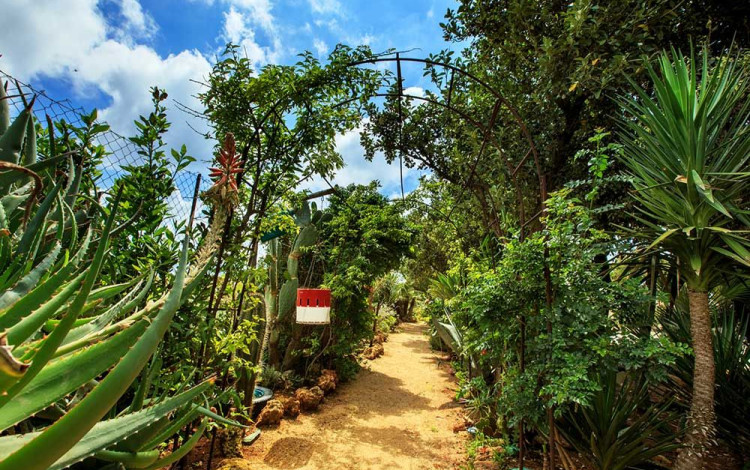 Camping Village El Bahira