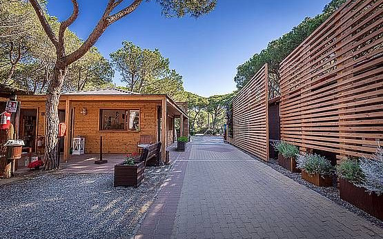 Campeggio Etruria