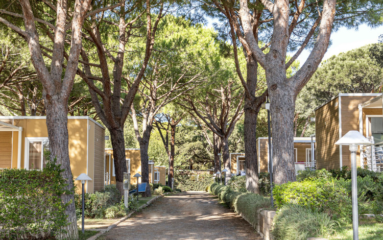 Camping Village Baia Azzurra