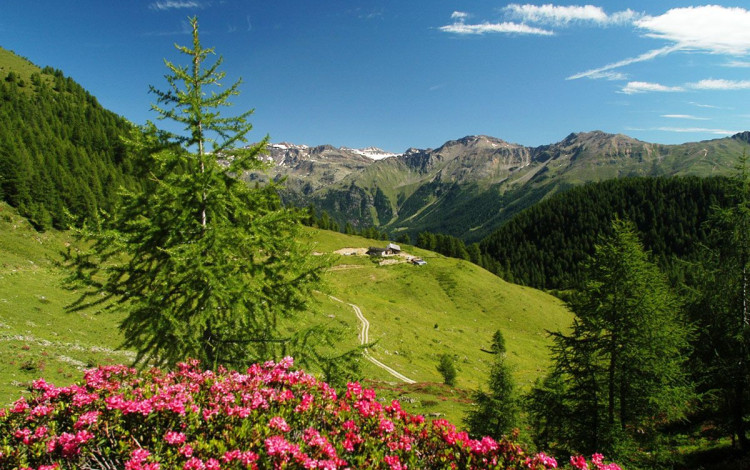 Camping Val di Sole