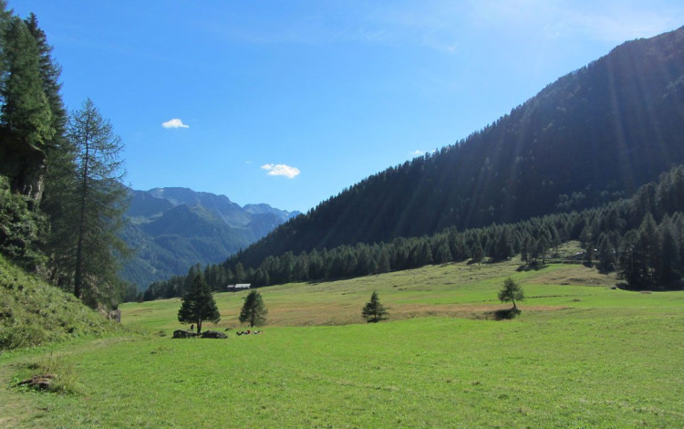 Camping Val di Sole