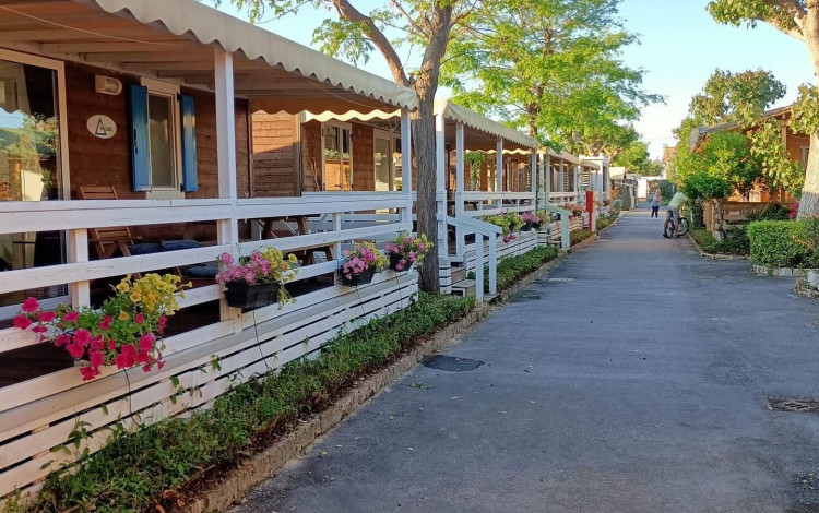 Camping la Mimosa