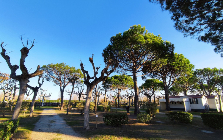 Campeggio Miramare