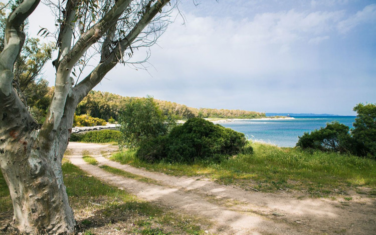Camping Cala d'Ostia