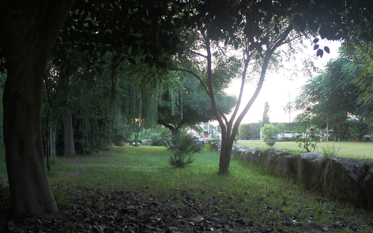 Camping Flintstones Park