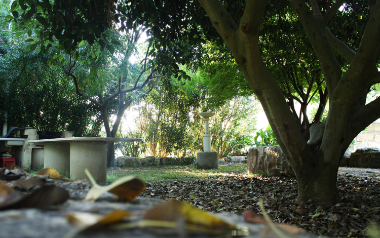 Camping Flintstones Park