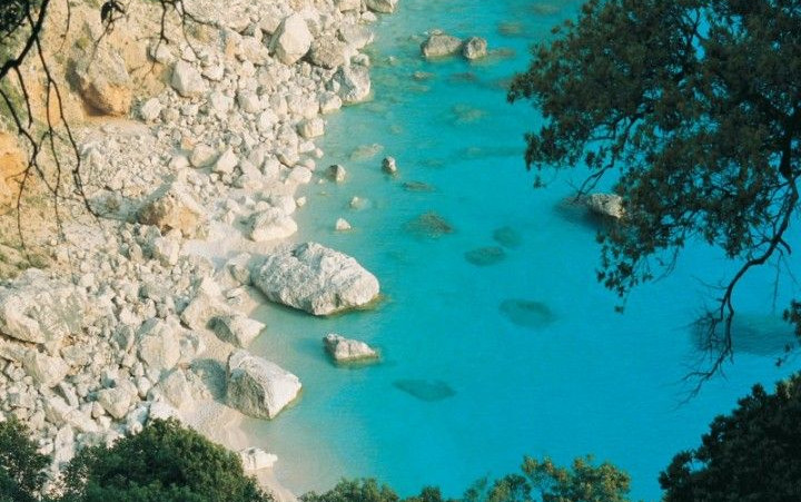 Camping Cigno Bianco