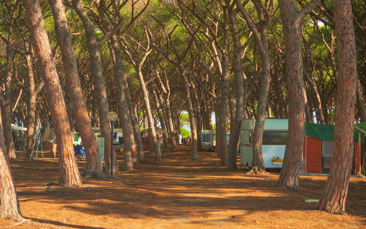 Gitavillage California