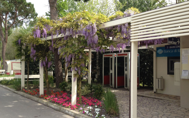 Vigna sul Mar Family Camping Village