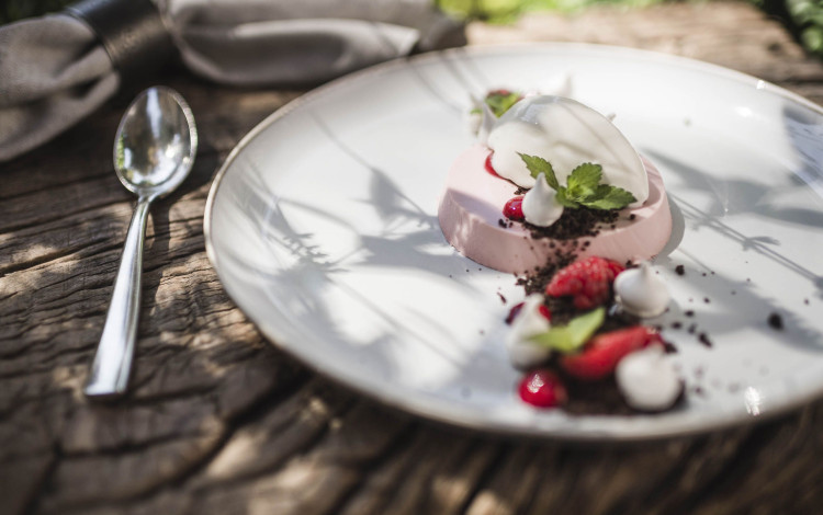 Camping Hotel Lowenhof