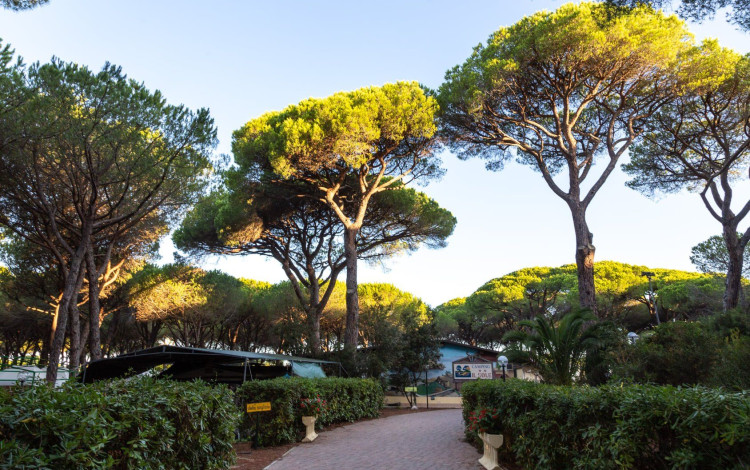 Camping Village il Sole