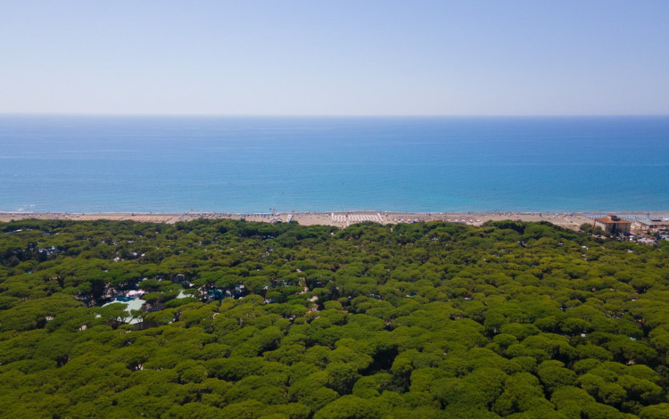 Camping Continental
