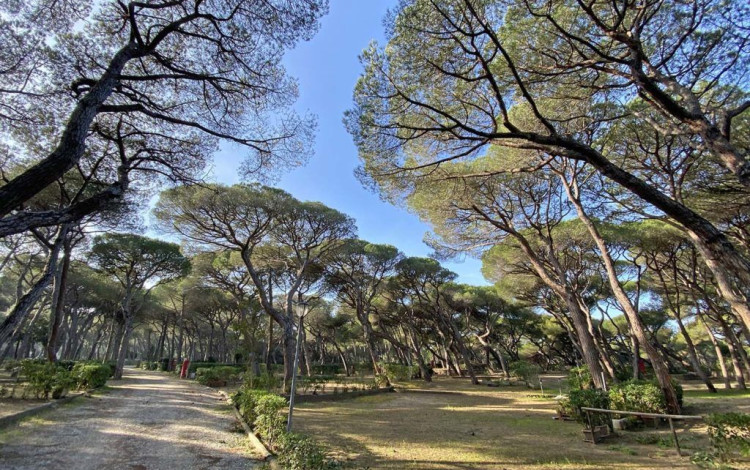 Camping Belmare