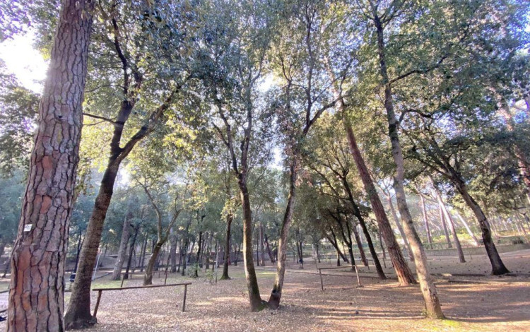 Camping Belmare